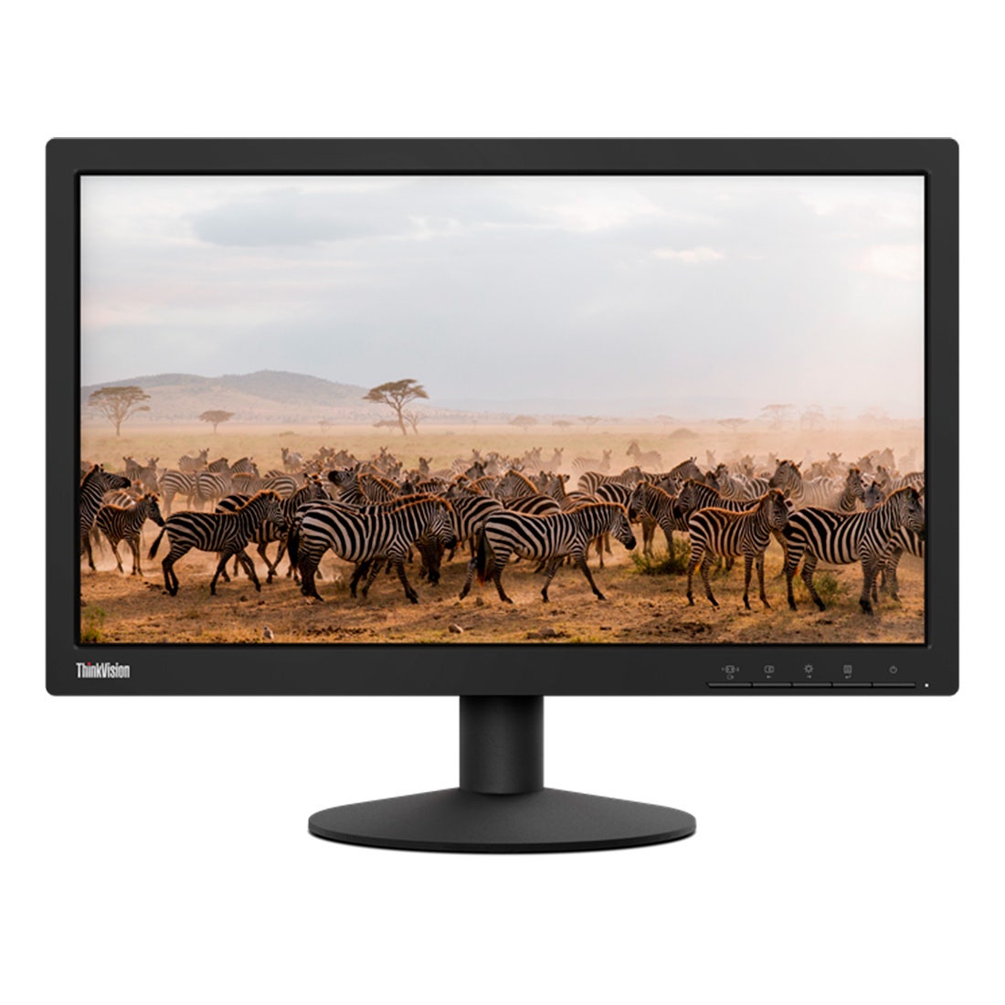 Monitor Lenovo E20-1B 19,5 - 63A0KAR1BR